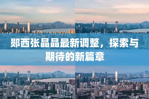郧西张晶晶最新调整，探索与期待的新篇章