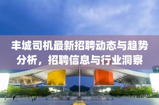 丰城司机最新招聘动态与趋势分析，招聘信息与行业洞察