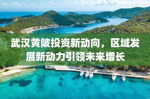 武汉黄陂投资新动向，区域发展新动力引领未来增长