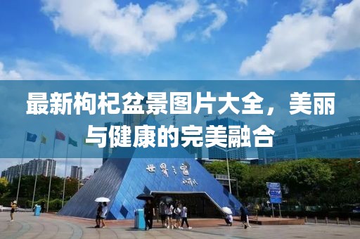 最新枸杞盆景图片大全，美丽与健康的完美融合