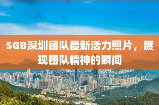 SGB深圳团队最新活力照片，展现团队精神的瞬间