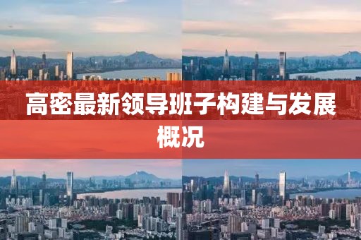 高密最新领导班子构建与发展概况