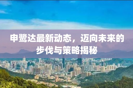 申鹭达最新动态，迈向未来的步伐与策略揭秘