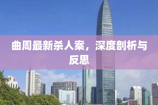曲周最新杀人案，深度剖析与反思