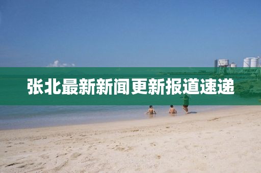 张北最新新闻更新报道速递
