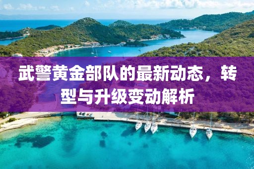 武警黄金部队的最新动态，转型与升级变动解析