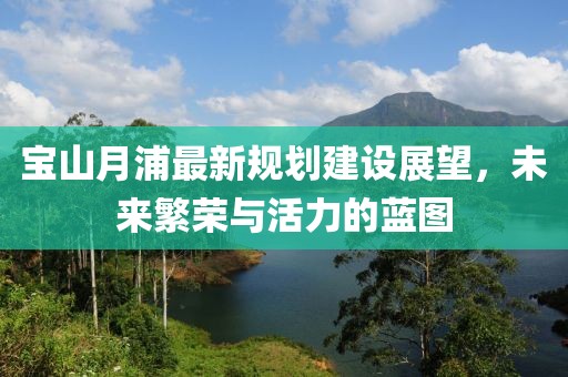 宝山月浦最新规划建设展望，未来繁荣与活力的蓝图