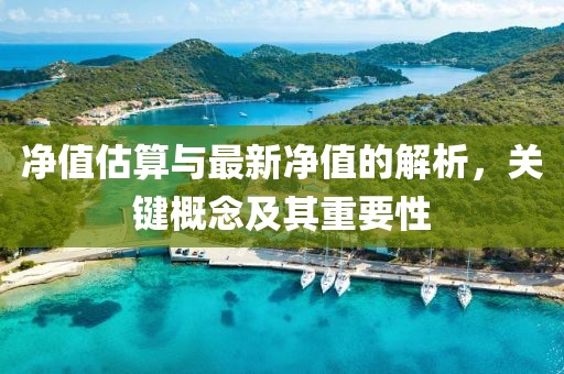 净值估算与最新净值的解析，关键概念及其重要性
