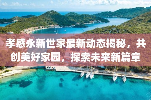 孝感永新世家最新动态揭秘，共创美好家园，探索未来新篇章