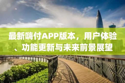 最新嗨付APP版本，用户体验、功能更新与未来前景展望