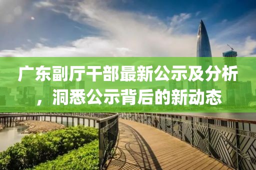广东副厅干部最新公示及分析，洞悉公示背后的新动态