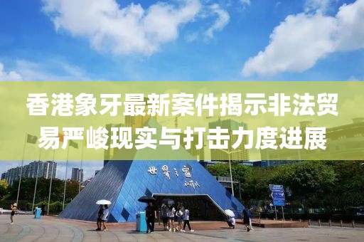香港象牙最新案件揭示非法贸易严峻现实与打击力度进展