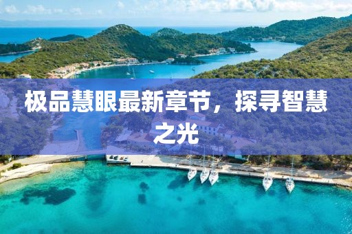 极品慧眼最新章节，探寻智慧之光