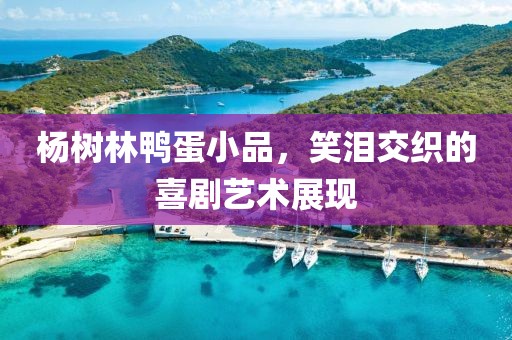 杨树林鸭蛋小品，笑泪交织的喜剧艺术展现