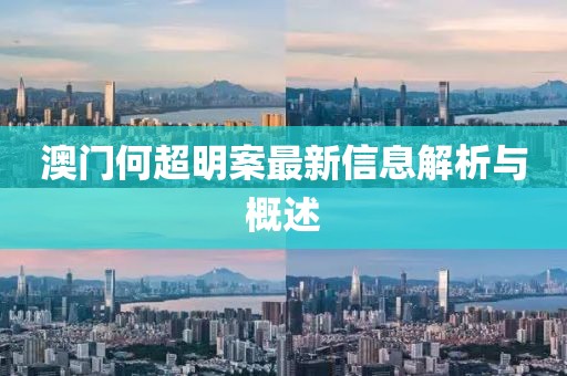 澳门何超明案最新信息解析与概述