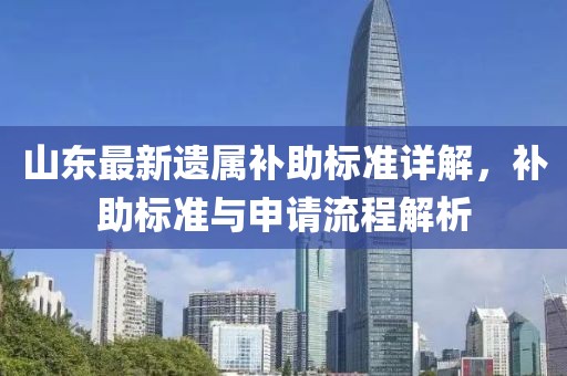 山东最新遗属补助标准详解，补助标准与申请流程解析
