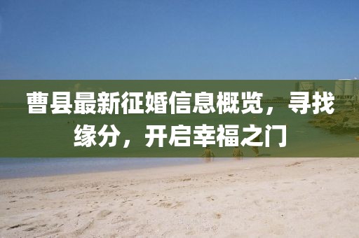 曹县最新征婚信息概览，寻找缘分，开启幸福之门