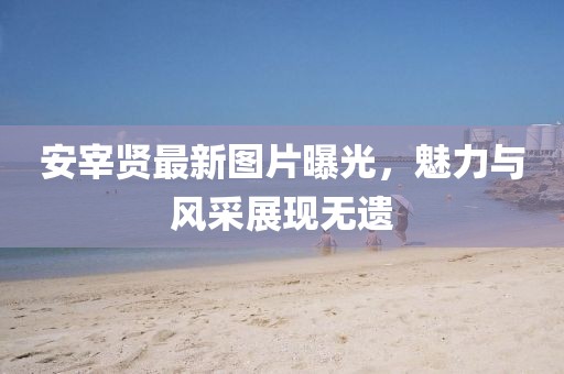 安宰贤最新图片曝光，魅力与风采展现无遗