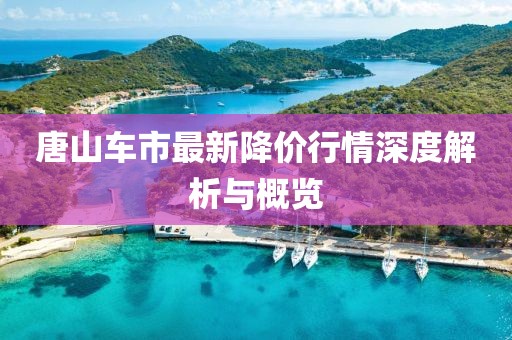 唐山车市最新降价行情深度解析与概览