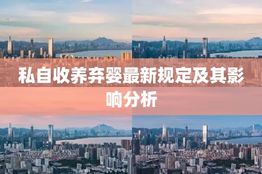 私自收养弃婴最新规定及其影响分析