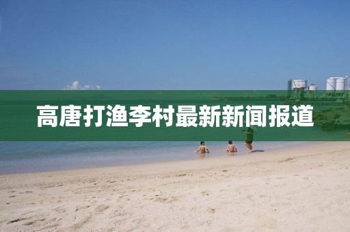 高唐打渔李村最新新闻报道