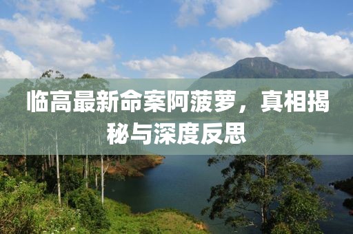 临高最新命案阿菠萝，真相揭秘与深度反思