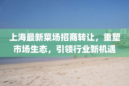 上海最新菜场招商转让，重塑市场生态，引领行业新机遇