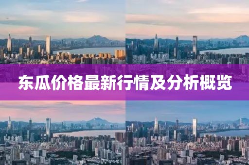 东瓜价格最新行情及分析概览