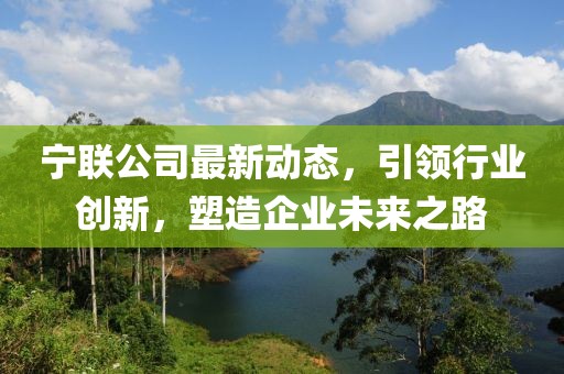 宁联公司最新动态，引领行业创新，塑造企业未来之路