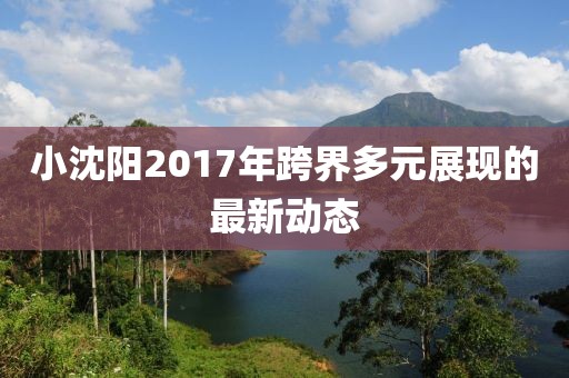 小沈阳2017年跨界多元展现的最新动态