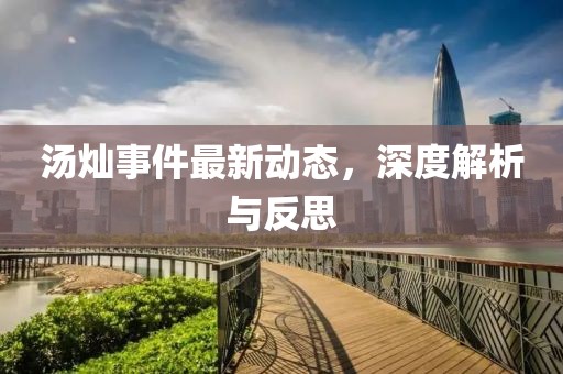 汤灿事件最新动态，深度解析与反思