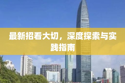 最新招看大切，深度探索与实践指南