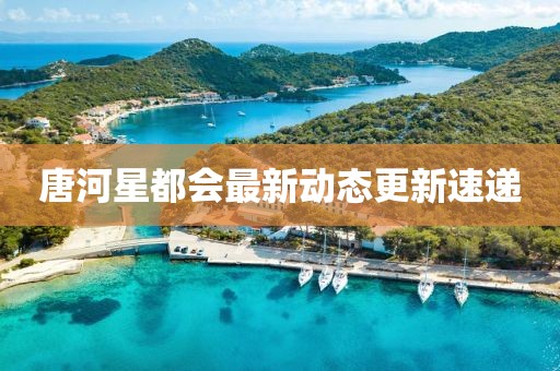 唐河星都会最新动态更新速递
