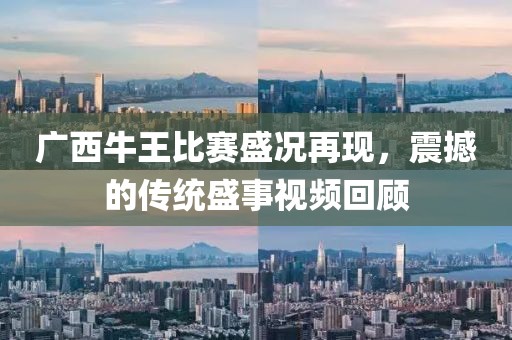 梳白发 第13页