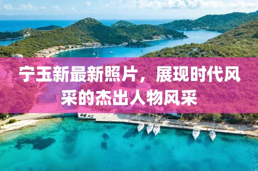 宁玉新最新照片，展现时代风采的杰出人物风采