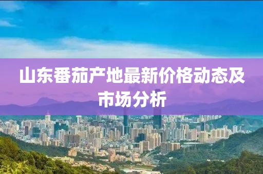 山东番茄产地最新价格动态及市场分析