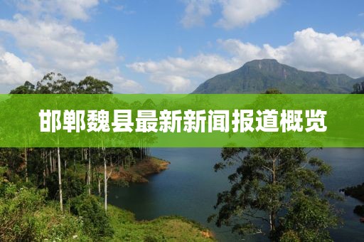 邯郸魏县最新新闻报道概览
