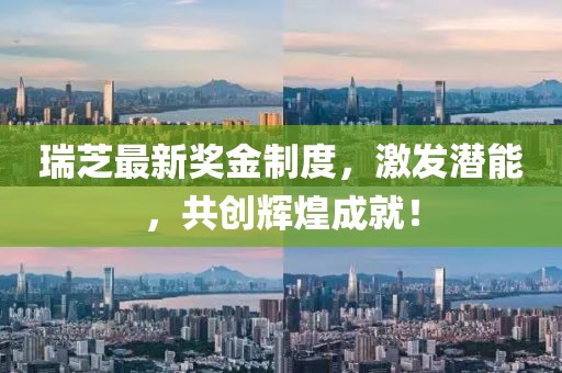 瑞芝最新奖金制度，激发潜能，共创辉煌成就！