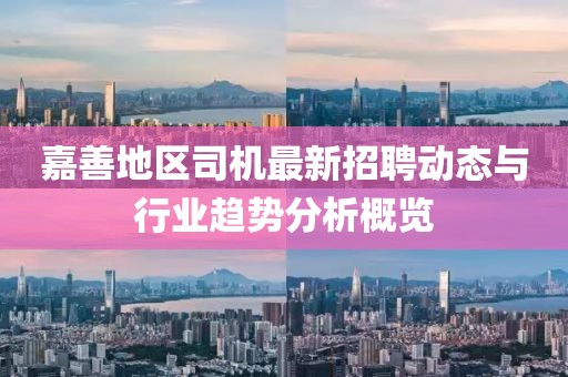 嘉善地区司机最新招聘动态与行业趋势分析概览
