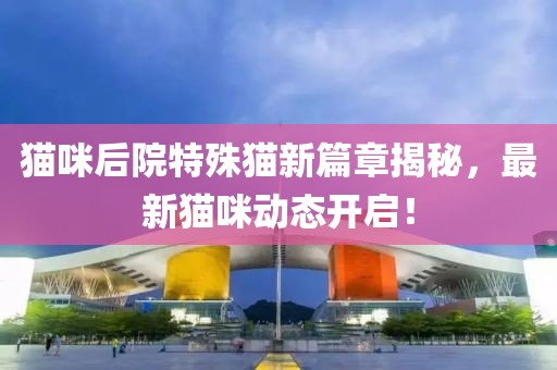 猫咪后院特殊猫新篇章揭秘，最新猫咪动态开启！
