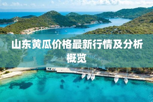 山东黄瓜价格最新行情及分析概览
