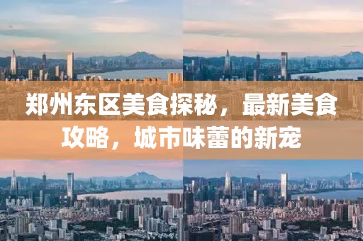 郑州东区美食探秘，最新美食攻略，城市味蕾的新宠