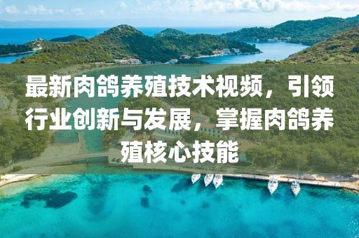 最新肉鸽养殖技术视频，引领行业创新与发展，掌握肉鸽养殖核心技能