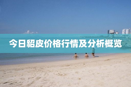 今日貂皮价格行情及分析概览