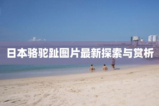 虹之间 第13页