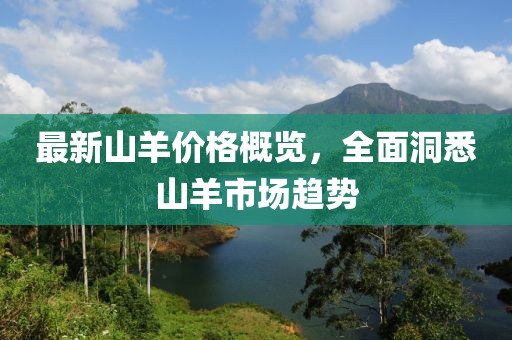 蔻岑魄 第12页