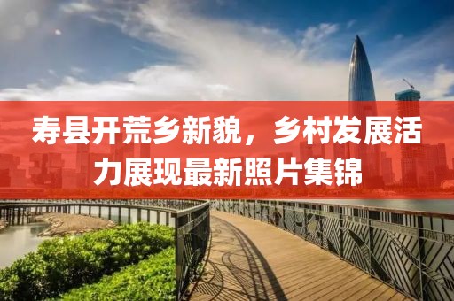 寿县开荒乡新貌，乡村发展活力展现最新照片集锦
