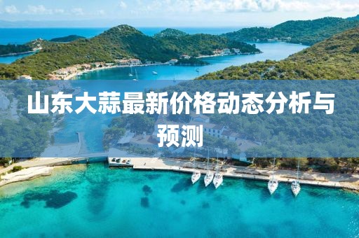 山东大蒜最新价格动态分析与预测