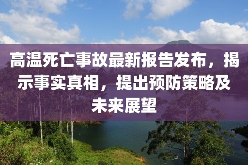 十七夏 第13页