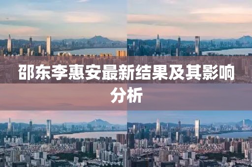 邵东李惠安最新结果及其影响分析